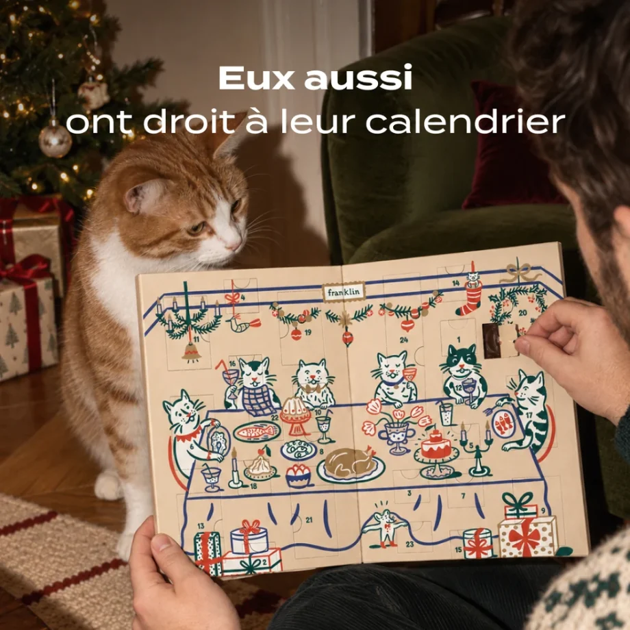 Calendrier de l'avent pour chat sans Céréales - Franklin